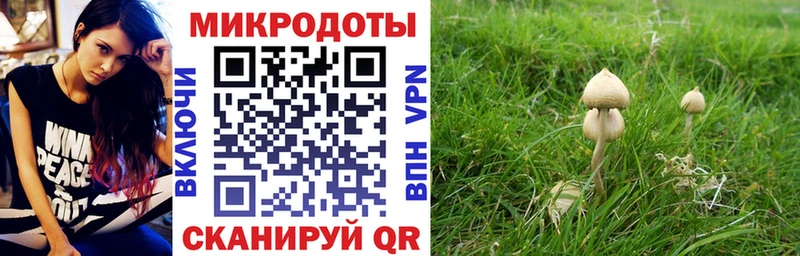 Галлюциногенные грибы мицелий Малгобек